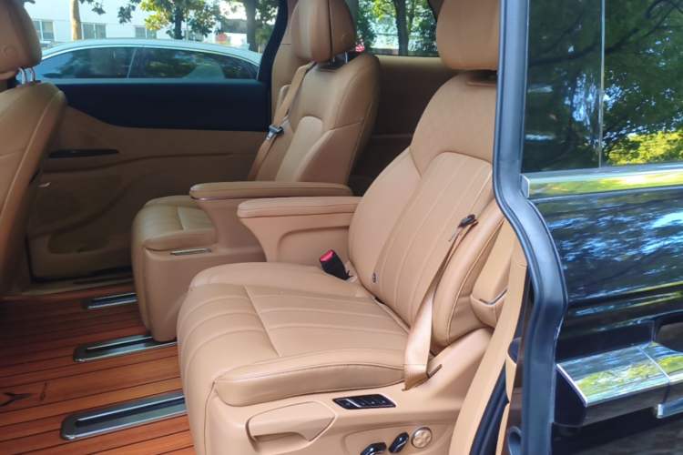 Used VOYAH Dream 2022 Low-Carbon Edition Home Left Rear Seat