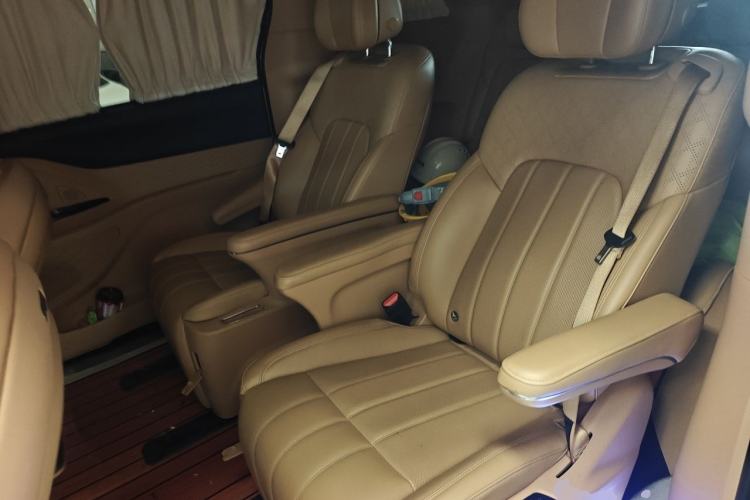 Used VOYAH Dream 2022 Low-Carbon Edition Home Left Rear Seat