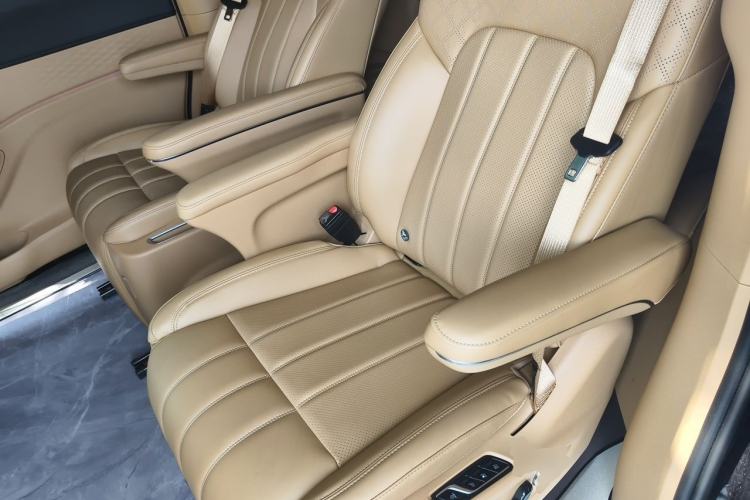 Used VOYAH Dream 2022 Low-Carbon Edition Plus Intelligent Driving Package Left Rear Seat