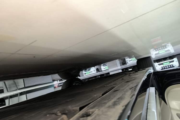 Used VOYAH Dream 2022 Low-Carbon Edition Dream+ Smart Enjoyment Package Left Side Sill