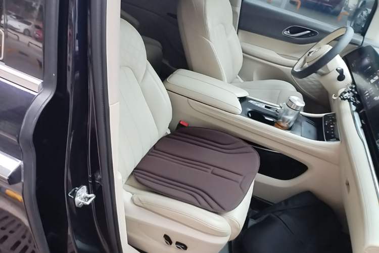 Used VOYAH Dream 2022 Low-Carbon Edition Plus Intelligent Driving Package Right Front Seat