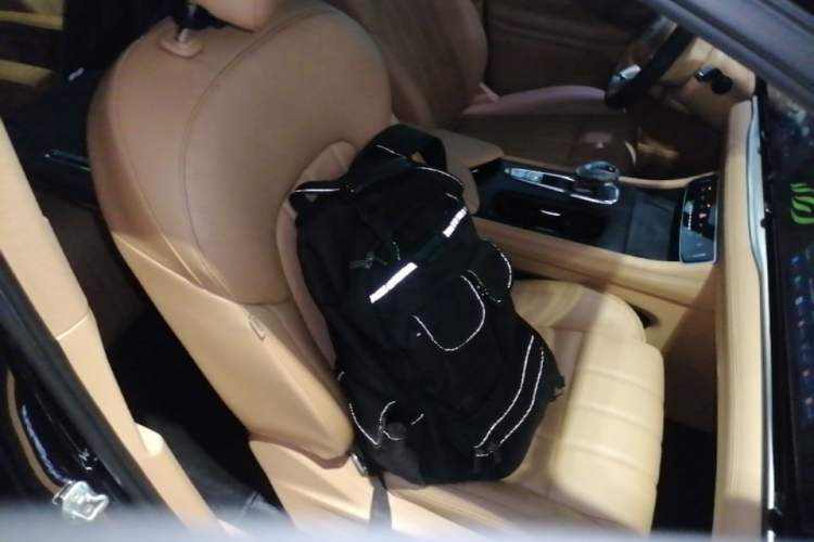 Used VOYAH Dream 2022 Low-Carbon Edition Home Right Front Seat