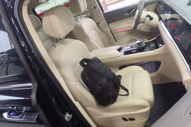 Used VOYAH Dream 2022 Low-Carbon Edition Plus Intelligent Driving Package Right Front Seat