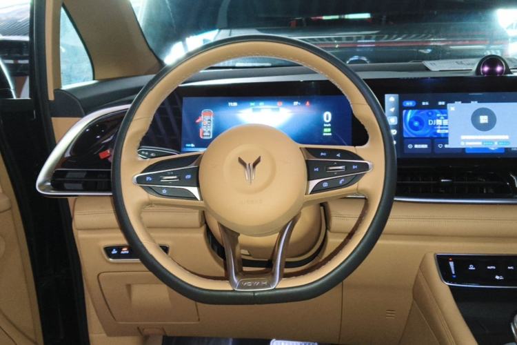 Used VOYAH Dream 2022 Low-Carbon Edition Home Steering Wheel