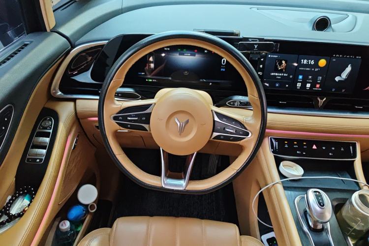Used VOYAH Dream 2022 0-Emission Version Range of 475 km Steering Wheel