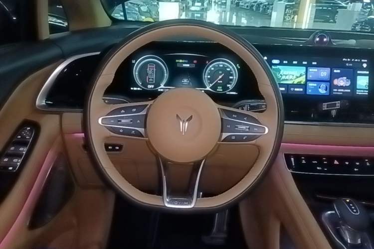 Used VOYAH Dream 2022 Low-Carbon Edition Dream+ Smart Enjoyment Package Steering Wheel