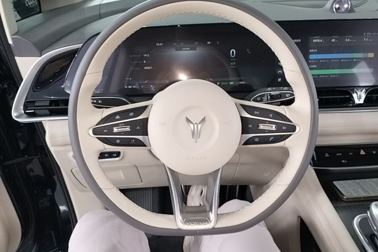 Used VOYAH Dream 2022 Low-Carbon Edition Dream+ Smart Enjoyment Package Steering Wheel