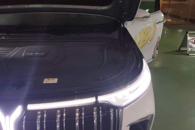 Used VOYAH Dream 2022 Low-Carbon Edition Dream+ Smart Enjoyment Package Engine Bay Left
