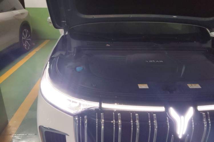 Used VOYAH Dream 2022 Low-Carbon Edition Dream+ Smart Enjoyment Package Engine Bay Right