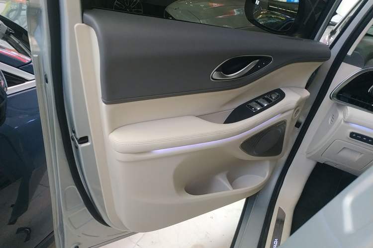 Used VOYAH Dream 2022 Low-Carbon Edition Dream+ Smart Enjoyment Package Left Front Door Interior