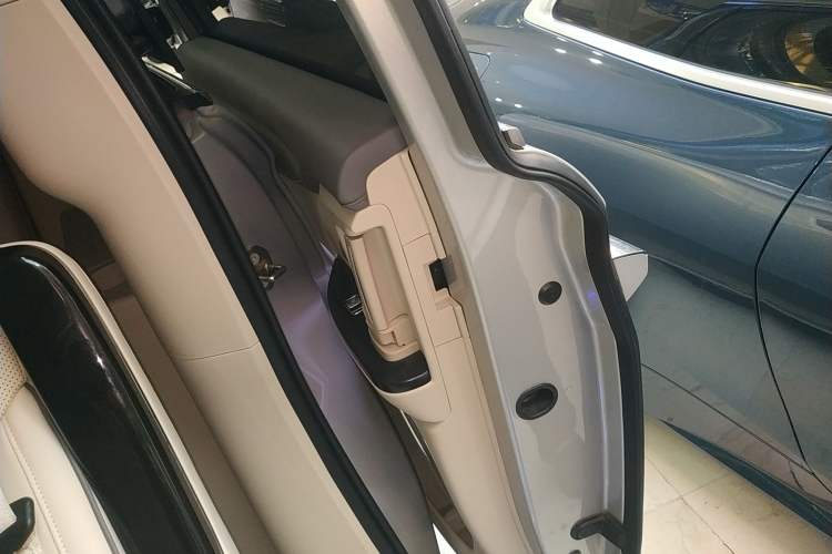 Used VOYAH Dream 2022 Low-Carbon Edition Dream+ Smart Enjoyment Package Left Rear Door Interior
