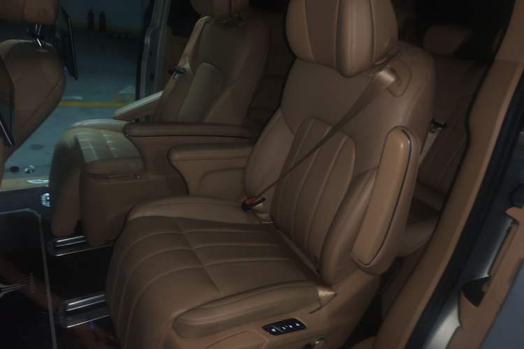 Used VOYAH Dream 2022 Low-Carbon Edition Home Left Rear Seat