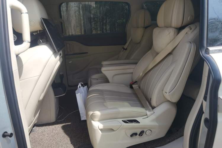 Used VOYAH Dream 2022 Low-Carbon Edition Home Left Rear Seat