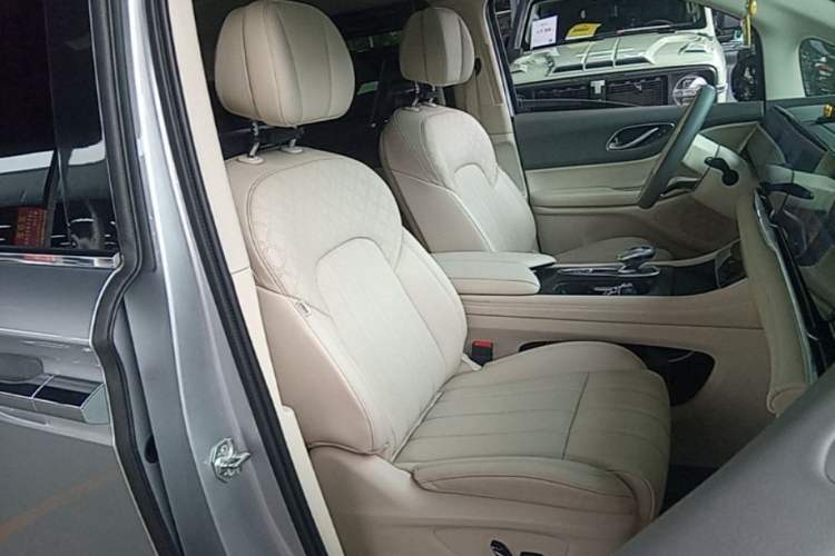 Used VOYAH Dream 2022 Low-Carbon Edition Plus Intelligent Driving Package Right Front Seat