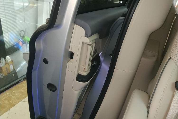 Used VOYAH Dream 2022 Low-Carbon Edition Dream+ Smart Enjoyment Package Right Rear Door Interior