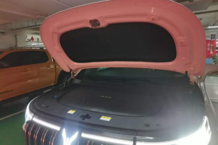 Used VOYAH Dream 2022 Low-Carbon Edition Dream+ Smart Enjoyment Package Engine Bay