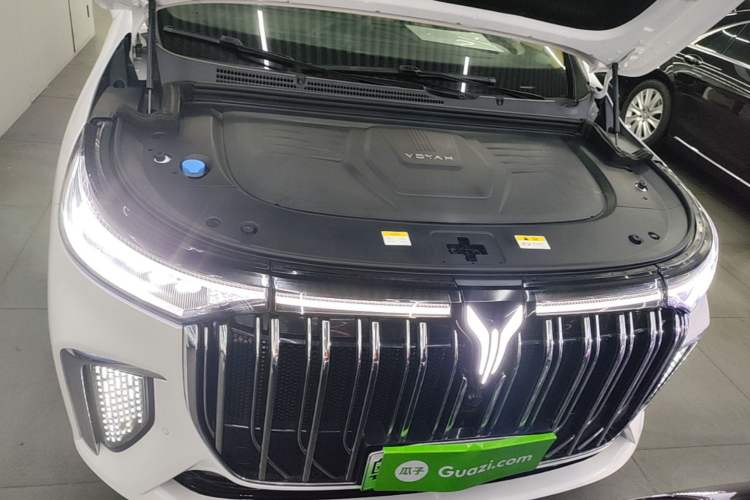 Used VOYAH Dream 2022 Low-Carbon Edition Dream+ Smart Enjoyment Package Engine Bay