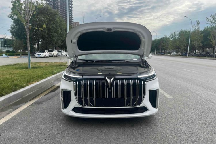 Used VOYAH Dream 2022 Low-Carbon Edition Plus Intelligent Driving Package Exterior 2