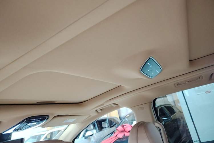 Used VOYAH Dream 2022 Low-Carbon Edition Plus Intelligent Driving Package Headliner