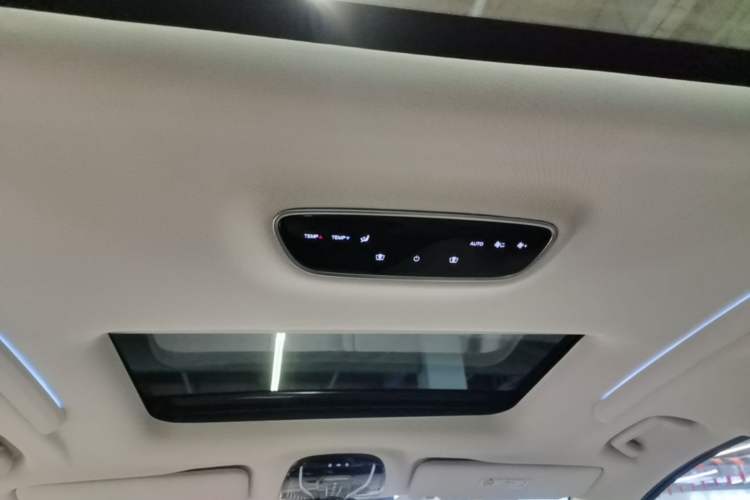 Used VOYAH Dream 2022 Low-Carbon Edition Home Headliner