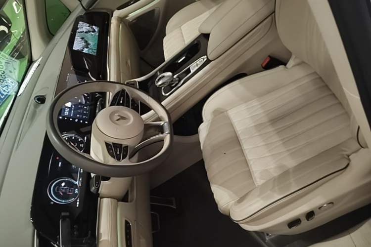 Used VOYAH Dream 2022 Low-Carbon Edition Dream+ Smart Enjoyment Package Left Front Seat