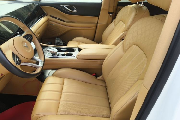 Used VOYAH Dream 2022 Low-Carbon Edition Home Left Front Seat