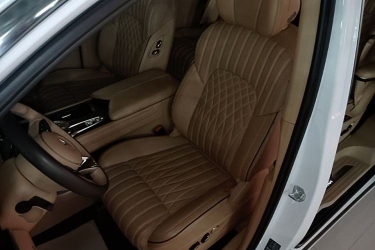 Used VOYAH Dream 2022 Low-Carbon Edition Dream+ Smart Enjoyment Package Left Front Seat