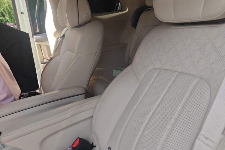Used VOYAH Dream 2022 Low-Carbon Edition Home Left Rear Seat