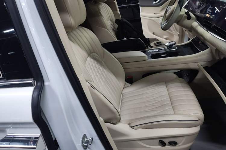 Used VOYAH Dream 2022 Low-Carbon Edition Dream+ Smart Enjoyment Package Right Front Seat