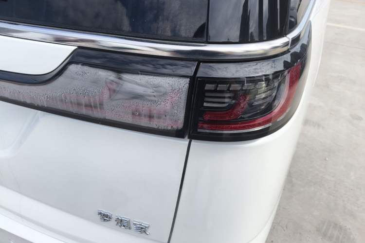 Used VOYAH Dream 2022 Low-Carbon Edition Home Right Rear Taillight