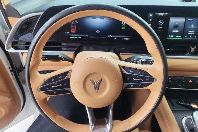 Used VOYAH Dream 2022 Zero-Carbon Edition Plus Intelligent Driving & Range Package—605 km Steering Wheel