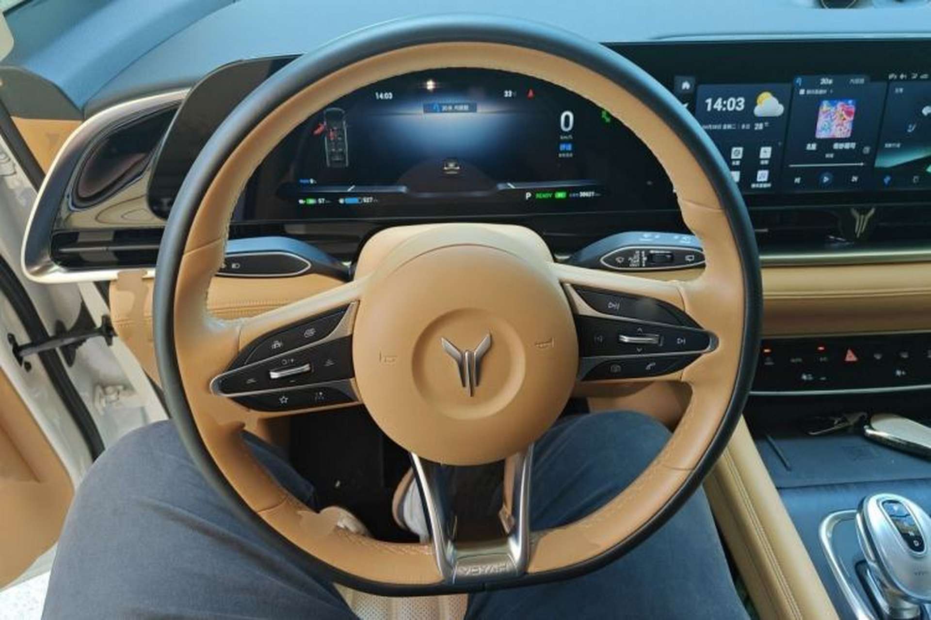 Used VOYAH Dream 2022 Low-Carbon Edition Dream+ Smart Enjoyment Package Steering Wheel