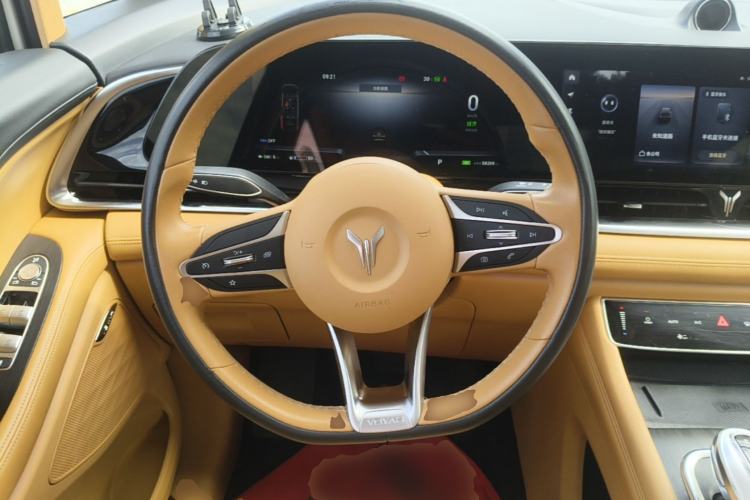 Used VOYAH Dream 2022 Low-Carbon Edition Home Steering Wheel