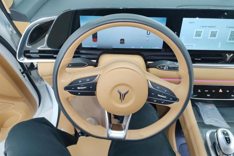 Used VOYAH Dream 2022 Low-Carbon Edition Plus Intelligent Driving Package Steering Wheel