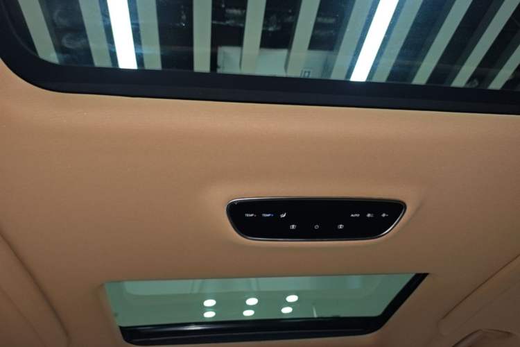Used VOYAH Dream 2022 Low-Carbon Edition Dream+ Smart Enjoyment Package Headliner