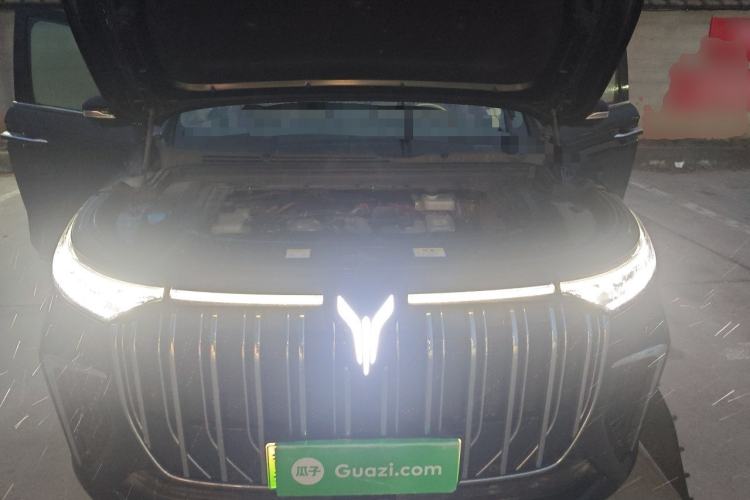 Used VOYAH Dream 2024 PHEV Extended-Range Premium Edition Engine Bay