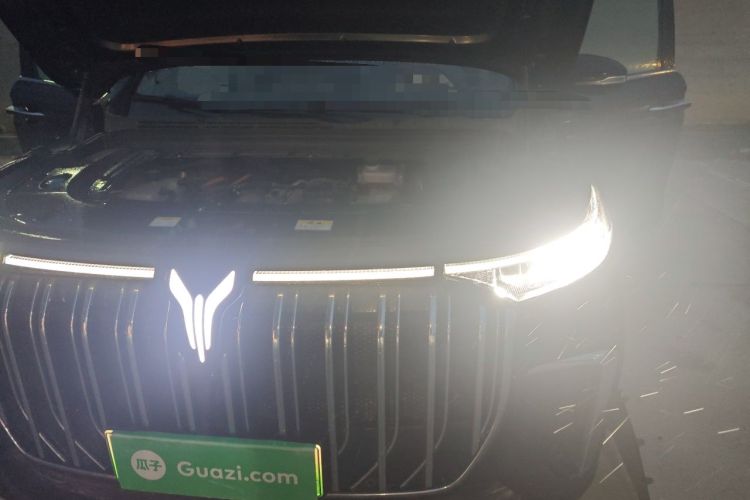 Used VOYAH Dream 2024 PHEV Extended-Range Premium Edition Engine Bay Left