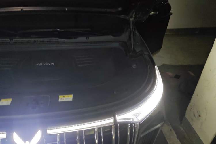 Used VOYAH Dream 2024 PHEV Extended-Range Premium Edition Engine Bay Left