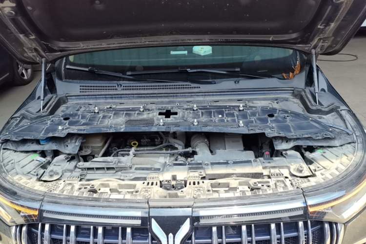 Used VOYAH Dream 2024 PHEV Extended-Range Premium Edition Engine Bay