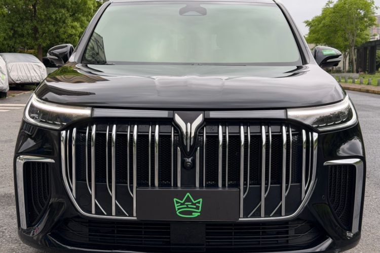 Used VOYAH Dream 2024 PHEV Extended-Range Premium Edition Exterior 5