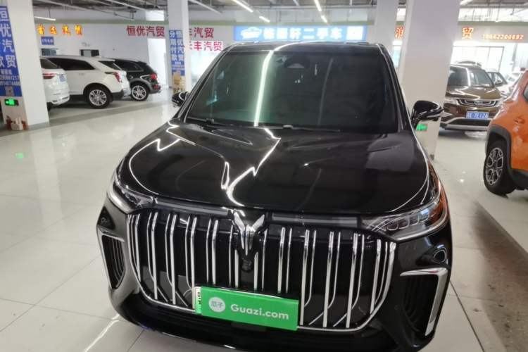 Used VOYAH Dream 2024 PHEV Extended-Range Premium Edition Front