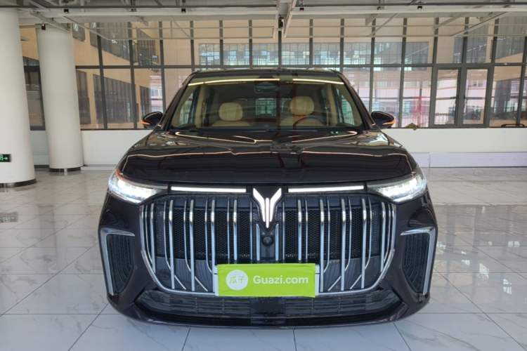 Used VOYAH Dream 2024 PHEV Ultra-Long Range Flagship Edition Front