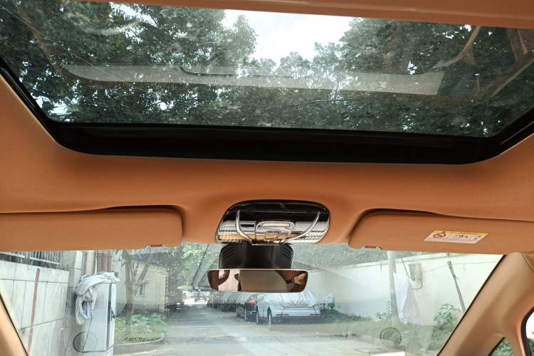 Used VOYAH Dream 2024 EV Long-Range Premium Edition Headliner