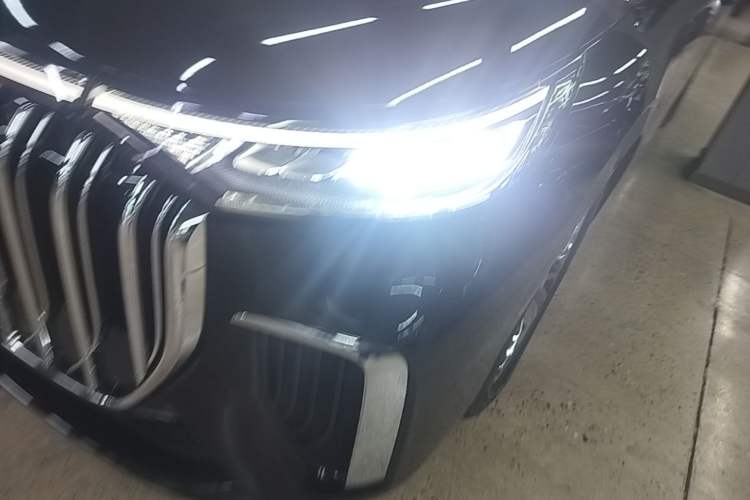 Used VOYAH Dream 2024 PHEV Ultra-Long Range Flagship Edition Left Front Headlight