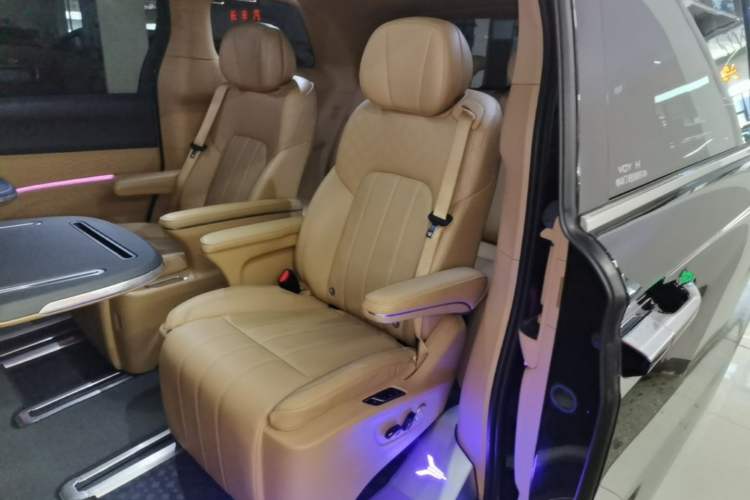 Used VOYAH Dream 2024 PHEV Extended-Range Premium Edition Left Rear Seat
