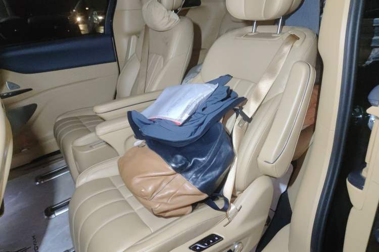 Used VOYAH Dream 2024 PHEV Extended-Range Premium Edition Left Rear Seat