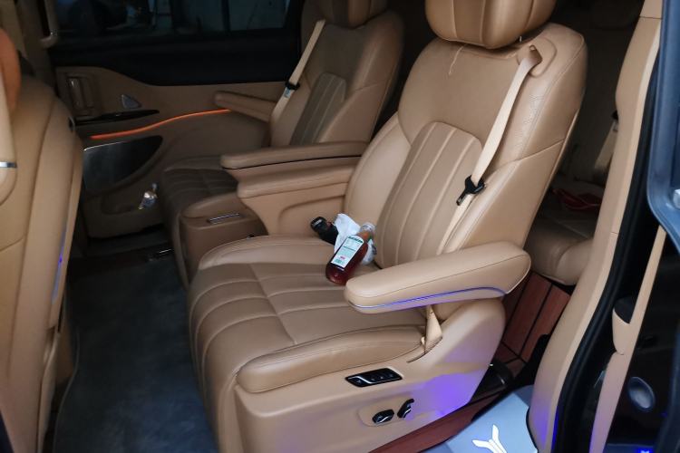 Used VOYAH Dream 2024 PHEV Extended-Range Premium Edition Left Rear Seat