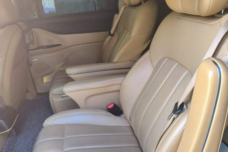Used VOYAH Dream 2024 PHEV Extended-Range Premium Edition Left Rear Seat