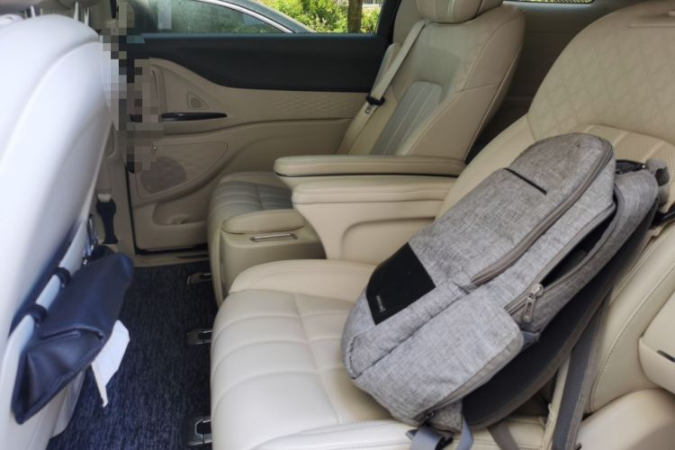 Used VOYAH Dream 2024 PHEV Extended-Range Premium Edition Left Rear Seat