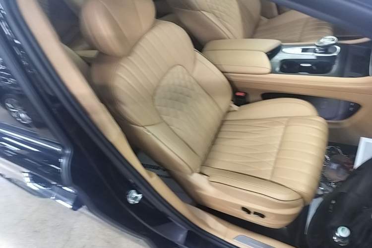 Used VOYAH Dream 2024 PHEV Ultra-Long Range Flagship Edition Right Front Seat